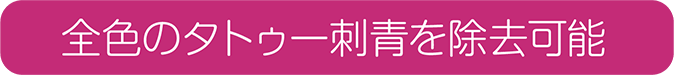 全色のタトゥー刺青を除去可能